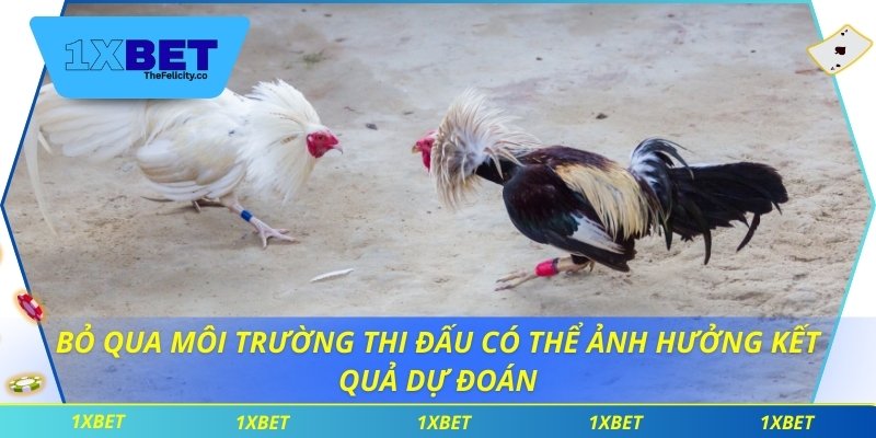 Cách Nhận Biết Chiến Kê Giúp Tối Ưu Chiến Thuật Đặt Cược Bỏ qua môi trường thi đấu có thể ảnh hưởng kết quả dự đoán