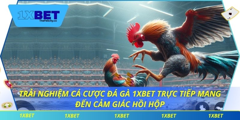 Đá Gà 1xbet Trải nghiệm cá cược đá gà 1xbet trực tiếp mang đến cảm giác hồi hộp