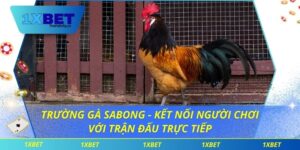Trường gà Sabong
